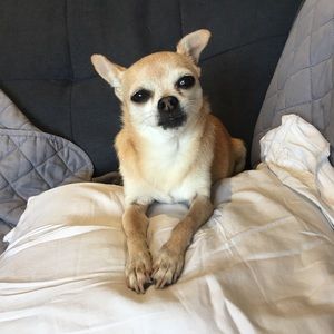 Meet your Posher, Eva